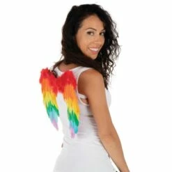 TRALALA DEGUISEMENT Soldes -TRALALA DEGUISEMENT Soldes ailes d ange plumes multicolores 40x32 cm 1