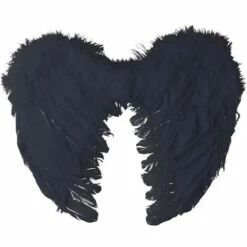 Ailes D'ange Plumes Noires 40x32 Cm