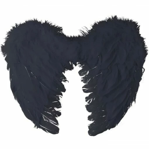 Ailes D'ange Plumes Noires 40x32 Cm 1 Ailes D'ange Plumes Noires 40x32 Cm -TRALALA DEGUISEMENT Soldes ailes d ange plumes noires 40x32 cm